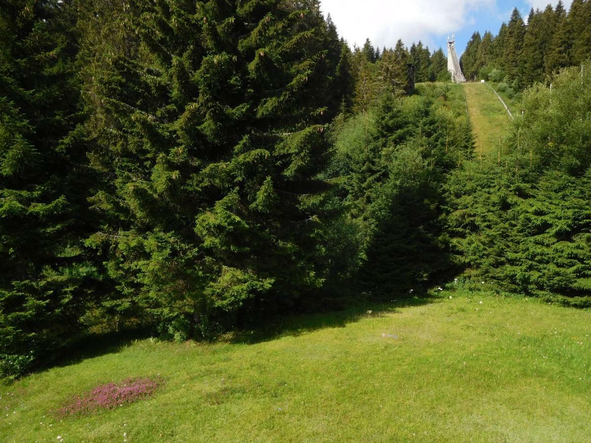 Ferienwohnung Schwarzwaldrauschen Schönwalde 外观 照片