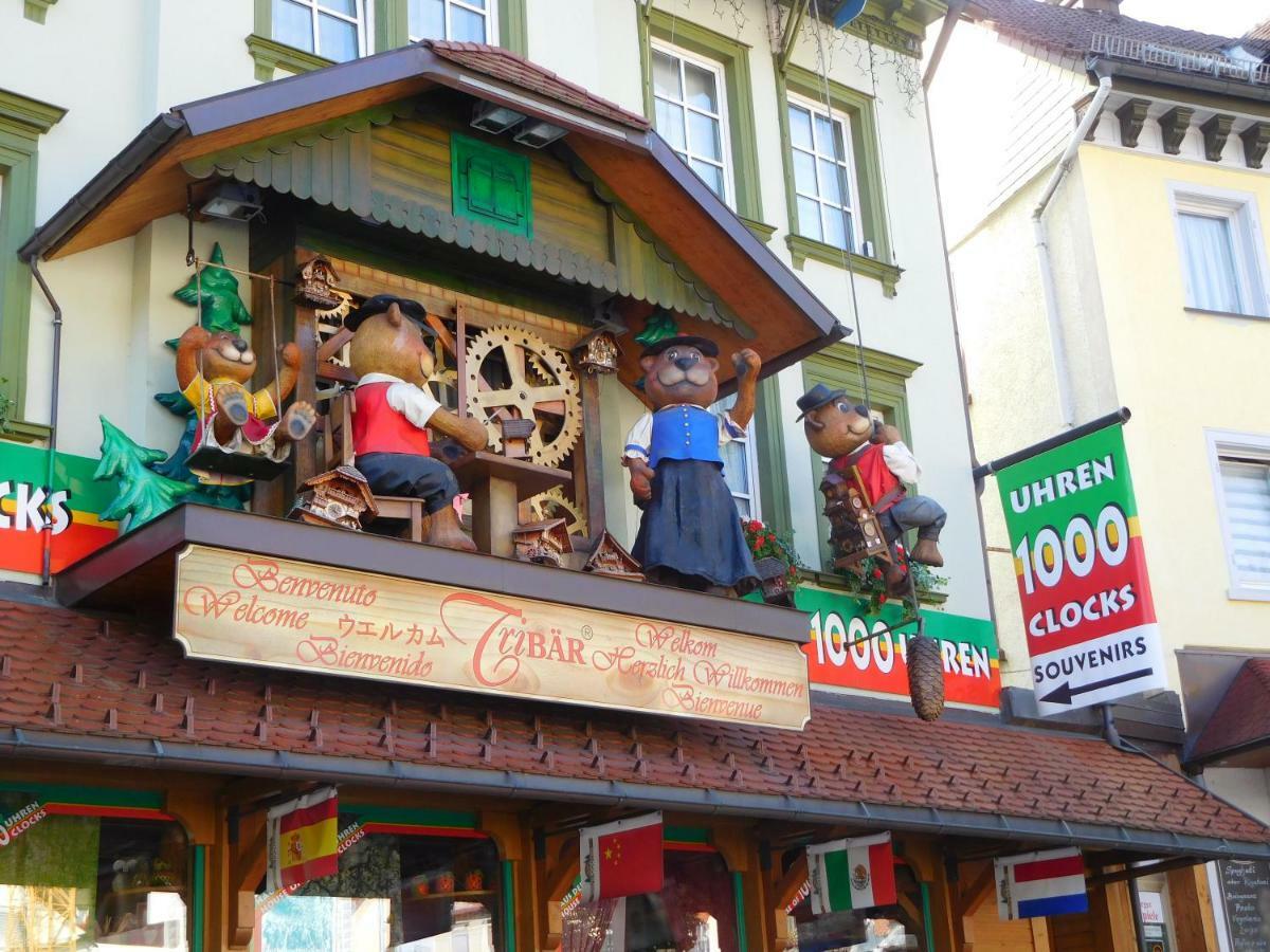 Ferienwohnung Schwarzwaldrauschen Schönwalde 外观 照片